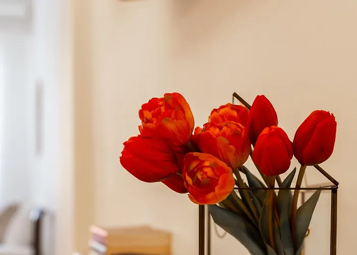 Iflat Spanish Steps Peaceful Apartment